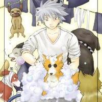 Kakashi Washing up his dogs!
